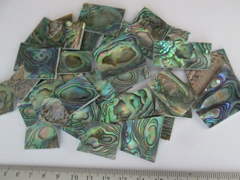 1 Oz Green Paua Abalone Shell Blanks Inlay Material Premium. Etsy