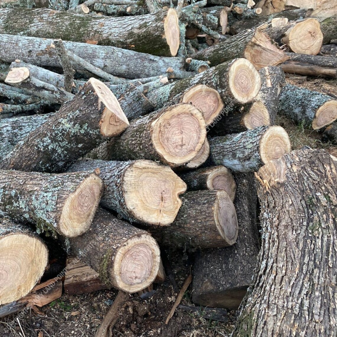 Olive Wood Elements Olive Wood Planks Olive Wood Blanks Etsy
