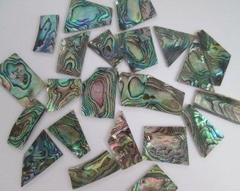 1oz Green Paua Abalone Shell Blanks,.060" Thickness.13-18 Inlay Material Pieces /  guitar