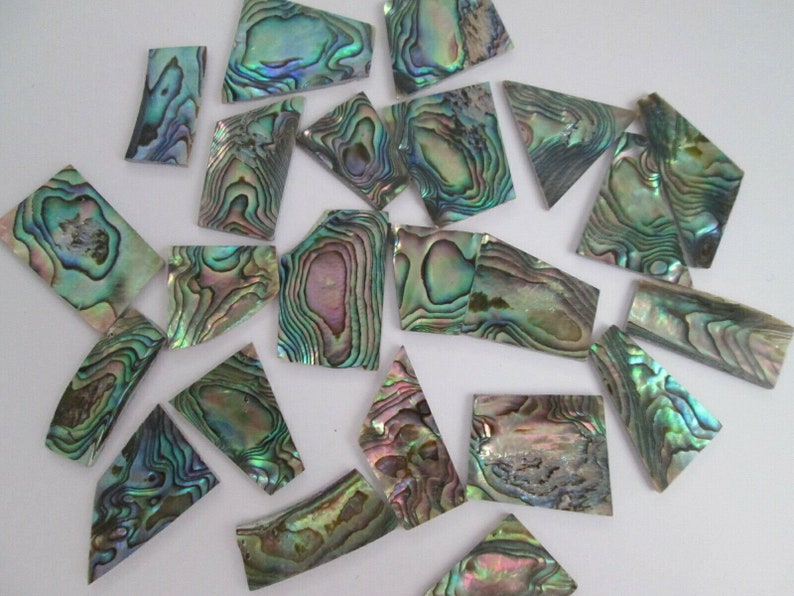 May include: A collection of iridescent abalone shell pieces in various shapes and sizes. The shells have a green, blue, and purple color scheme with a pearlescent finish.