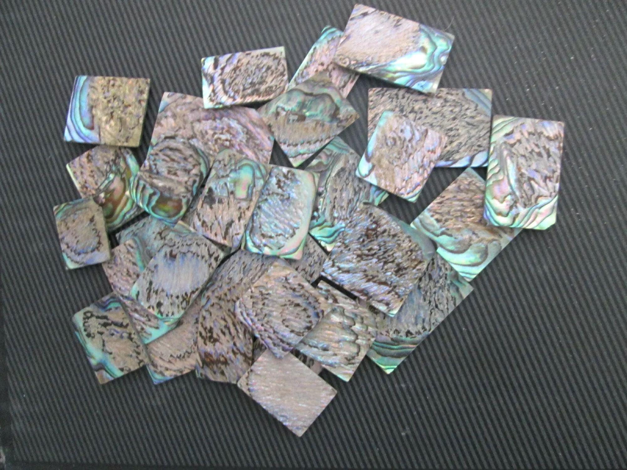 1oz Green Paua Abalone 