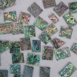2 Oz Green Paua Abalone Shell Blanks, Inlay Material Premium. 0.06 ...