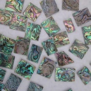 Grüne Paua Abalone Muschel Rohlinge: Mosaik Kunst Inlay Material