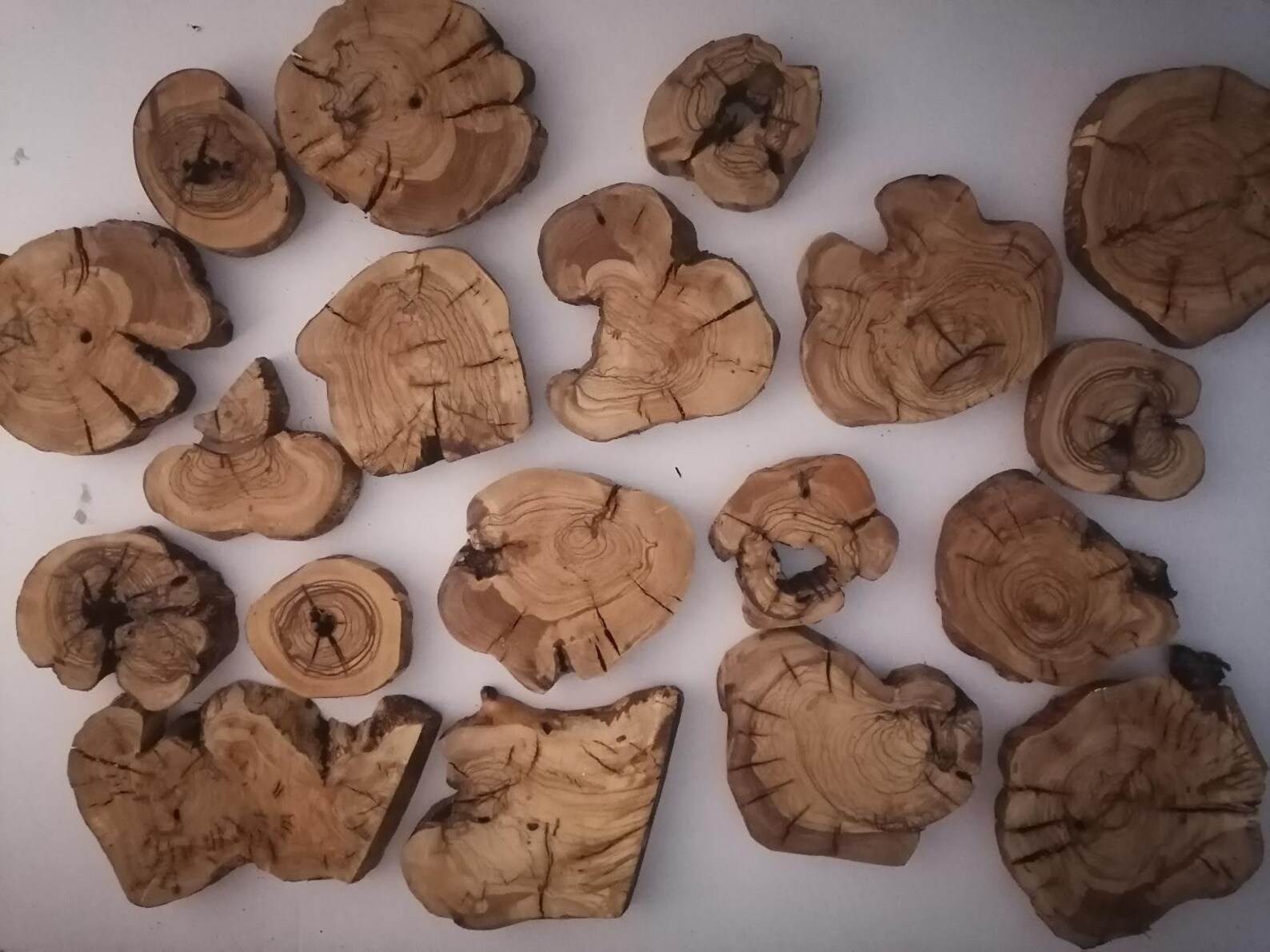 BETHLEHEM / HOLYLAND Dry OLIVE Wood Custom Island Charcuterie Etsy