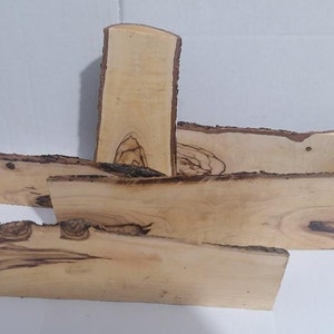 Bethlehem Olive Wood Cutoffs with Bark, Woodworking Art Pieces 4.2 lb, 3-5 pcs