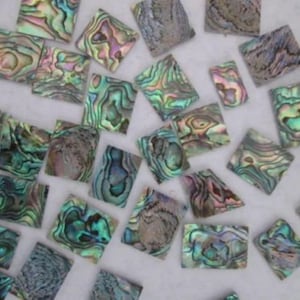 Grüne Paua Abalone Muschel Rohlinge, Mosaik Inlay Material