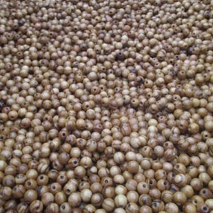 May include: A large quantity of brown wooden beads with dark brown stripes. The beads are round and smooth.