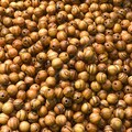 Holyland olive wood round beads in Various Sizes and Quantities / premium quality / polished product logo