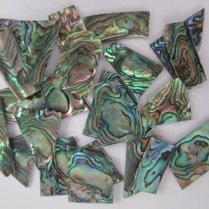 May include: A collection of iridescent green, blue, and purple abalone shell pieces. The pieces are various shapes and sizes, and have a natural, organic texture.