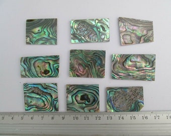 1 oz Green Paua Abalone Shell Inlay Blanks: Mosaic Art, Jewelry Making