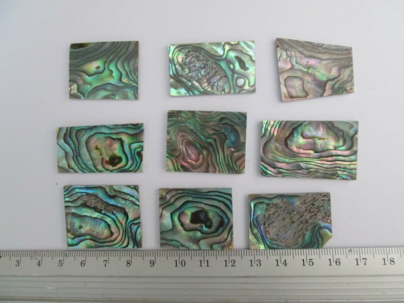 Green Paua Abalone Shell Inlay Blanks: Mosaic Art, Jewelry Making - Etsy