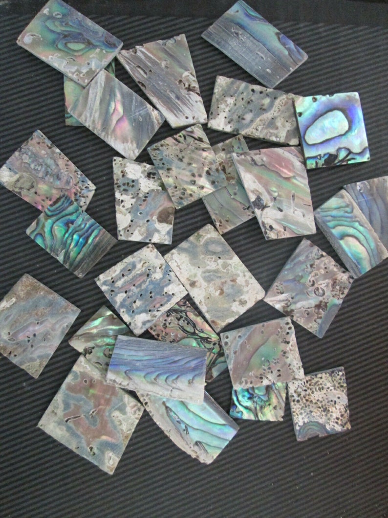 May include: A collection of iridescent abalone shell tiles in various shapes and sizes. The tiles have a natural, organic look with a mix of green, blue, and purple hues.