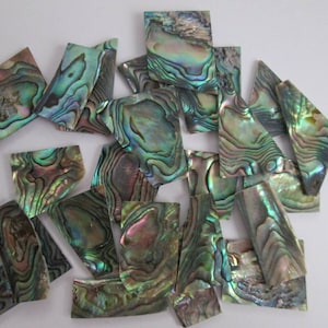 May include: A collection of iridescent green, blue, and purple abalone shell pieces. The pieces are various shapes and sizes, and have a natural, organic texture.