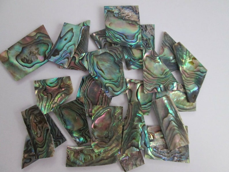 May include: A collection of iridescent green, blue, and purple abalone shell pieces. The pieces are various shapes and sizes, and have a natural, organic texture.