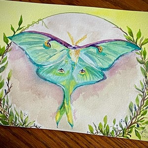 Luna Motte Aquarell Malerei, Original Kunstwerk, 10 x 18,5 cm ungerahmtes Gemälde, Gartenkunst, Botanisches Aquarell, grüne Motte