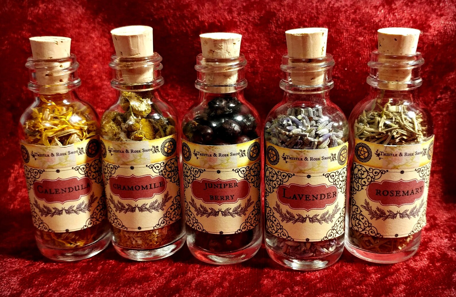 Set of Herb Bottles 5 Piece Herbs / Organic Natural Dried Etsy