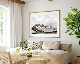 Jekyll Island Driftwood Beach, Coastal Wall Art coastal print
