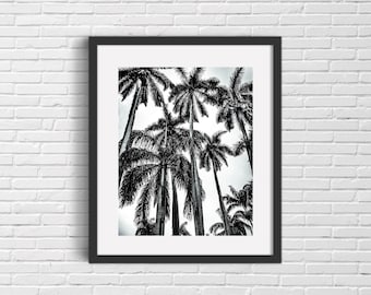 Bahamas Palm Trees Print, Coastal Beach House Wall Art