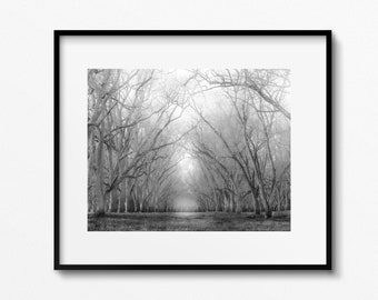black and white photography  black and white prints black and white landscape photography road photography roads minimalist black and white