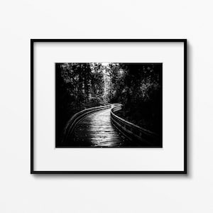 Black and white photography print landscape wall art black and white canvas black and white wall decor walk path trail hiking trail cabin image 1