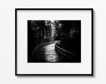 Black and white photography print landscape wall art black and white canvas black and white wall decor walk path trail hiking trail cabin