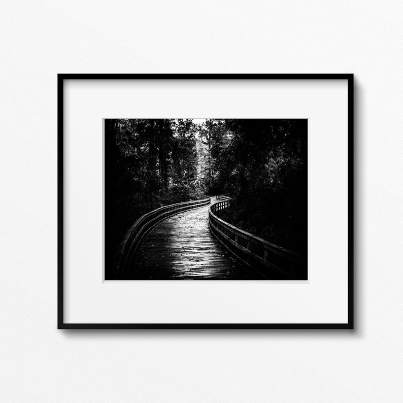 Black and white photography print landscape wall art black and white canvas black and white wall decor walk path trail hiking trail cabin image 1