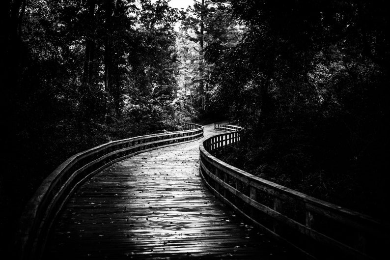 Black and white photography print landscape wall art black and white canvas black and white wall decor walk path trail hiking trail cabin image 3