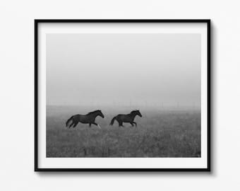 Foggy Horses Fine Art Print, Black and White Equine Photography wall art