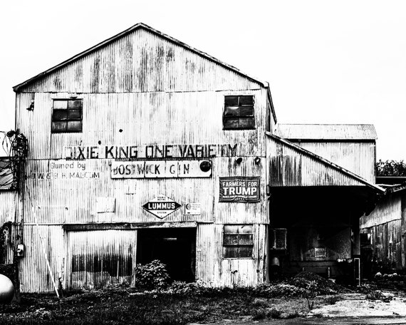 Cotton Gin