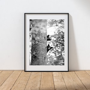 Bear print mountain cabin décor rustic cabin wildlife print Smokey mountains black and white mountain photography print nature cabin wall
