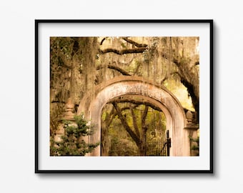 Wormsloe savannah wall art savannah print avenue of the oaks