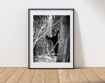 Bear print cabin wall art cabin wall décor mountains wildlife print black and white appalachia Mountain cabin décor rustic cabin nature