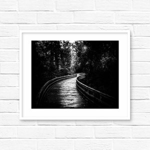 Black and white photography print landscape wall art black and white canvas black and white wall decor walk path trail hiking trail cabin image 2