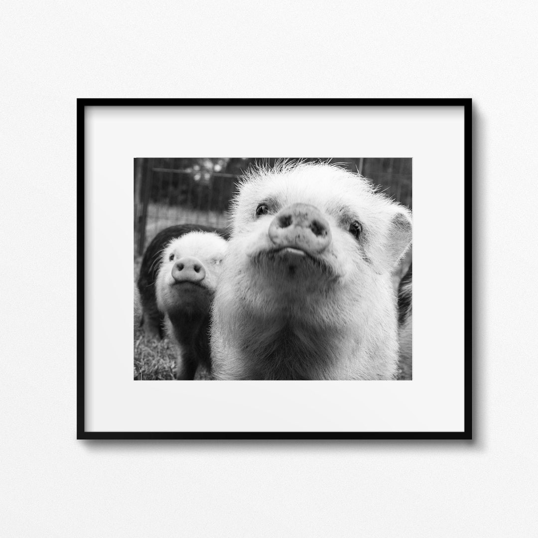 Farm Animal Print Pig Print BBQ Kitchen Wall D??cor Kitchen Art Kitchen