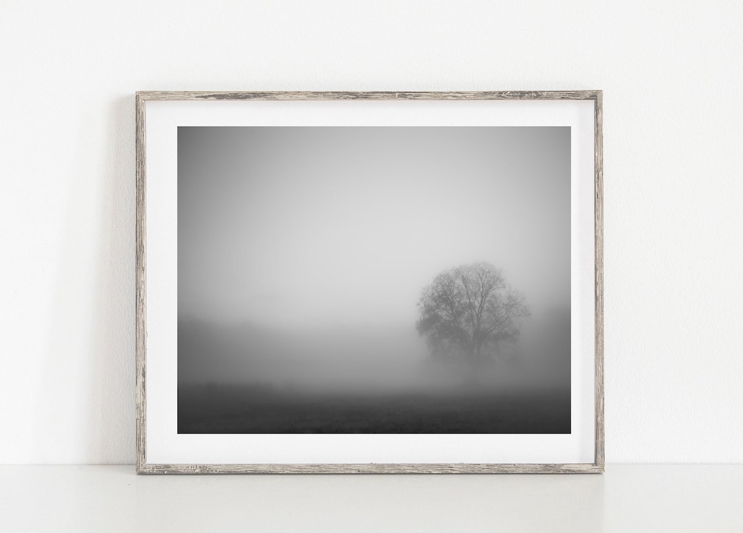 Black and White Photography Black and White Prints, Black and White