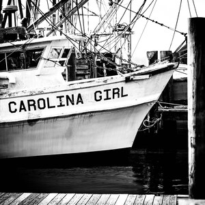 Carolina North Carolina South Carolina wall art wall décor mom gifts mothers day Mom birthday for her Christmas gift Coastal carolinas gift image 2