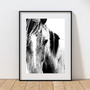 Horse print wild horses black and white horse photography print equine stud mare horse print dad gift christmas gift