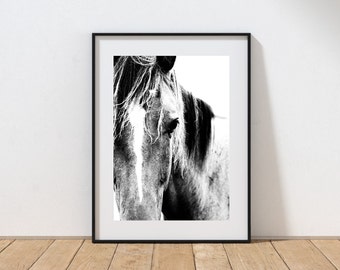 Horse print wild horses black and white horse photography print equine stud mare horse print dad gift christmas gift