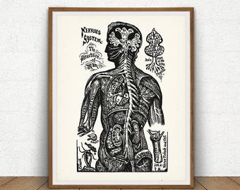Nervous System Printable, The Structure of Man, Human Anatomy Wall Art, Vintage Anatomy Art Print, Medical Poster, Antique Anatomy Printable