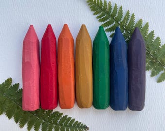 May include: A collection of seven colorful crayons arranged in a row, each with a unique hue: pink, red, orange, yellow-brown, green, blue, and purple. A fern leaf is placed on the white background, adding a natural element to the composition.