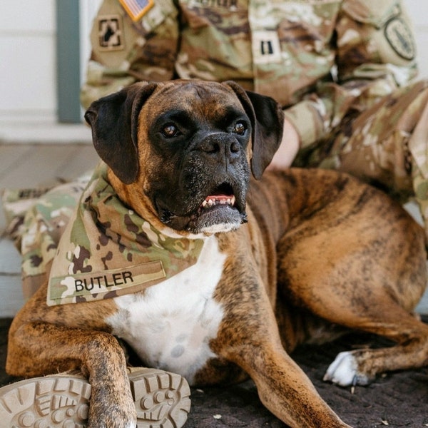 U.S. Army Air Force Multicam Custom Military Dog Cat Slip On Collar Bandana *READ DESCRIPTION*