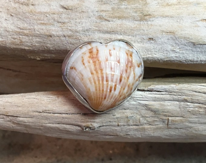 Handmade Fine Silver (.99) Ring with Bezel Heart Shaped Cockle Shell Size 6