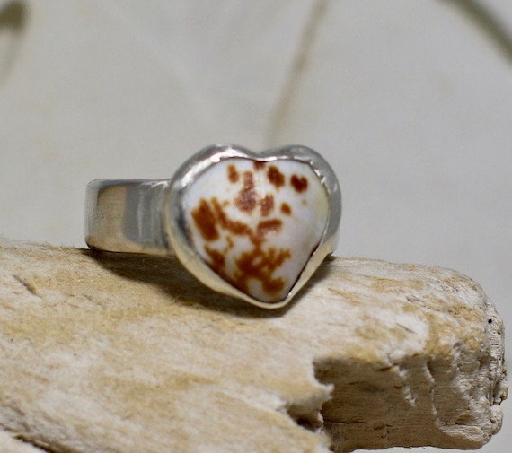 Handmade Fine Silver Ring With a SS Bezel Cockle Shell Size 8