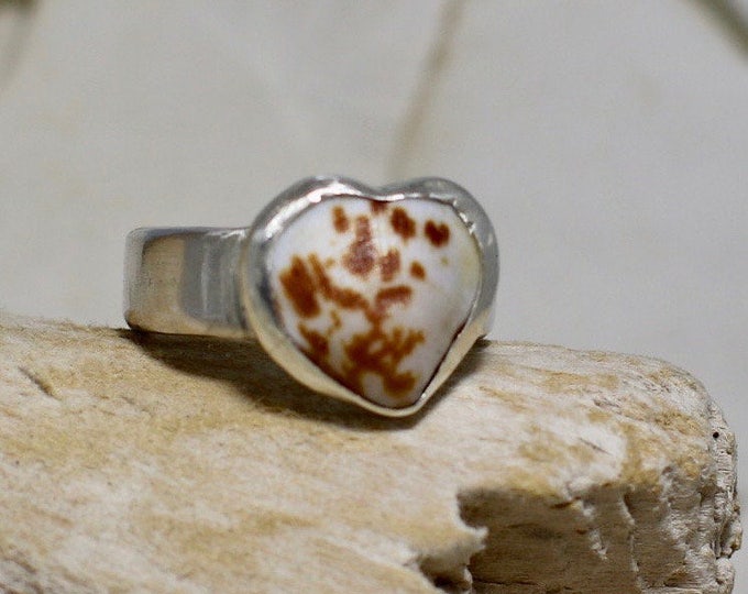Handmade Fine Silver Ring With a SS Bezel Cockle Shell Size 8