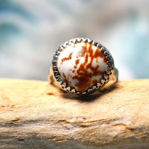 May include: A ring featuring a circular, polished shell cabochon with a white and reddish-brown mottled pattern. The shell is set within a silver-toned metal bezel that has a decorative, scalloped edge with small, repeating heart-shaped cutouts.