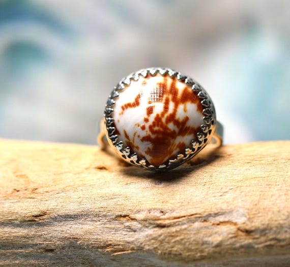 Sterling Silver Ring: Natural Bittersweet Clam Shell Bezel Set