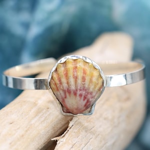 May include: A silver cuff bracelet featuring a central scallop shell focal point. The shell displays a gradient of yellow, orange, and pink hues with distinct vertical ridges. The metal band is smooth, polished, and has a reflective silver finish.