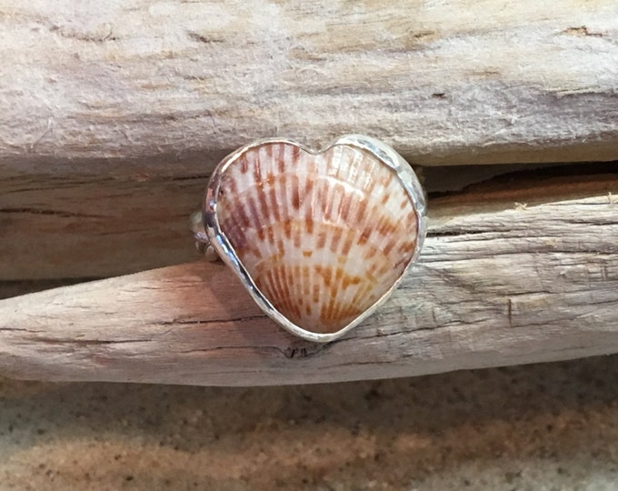 Fine Silver Braided Ring with SS Bezel Set Heart Shaped Cockleshell size 8