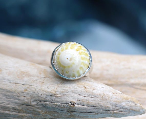 Sterling Silver Hammered Band with a Bezel Set Top-Snail Shell