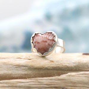 May include: A silver ring featuring a heart-shaped seashell with a pink and white pattern. The seashell is set in a scalloped bezel. The ring is displayed on a piece of driftwood.